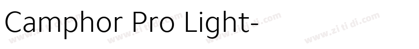 Camphor Pro Light字体转换